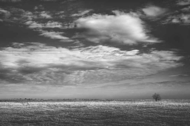 radia ivkovi - morning note ii.jpg